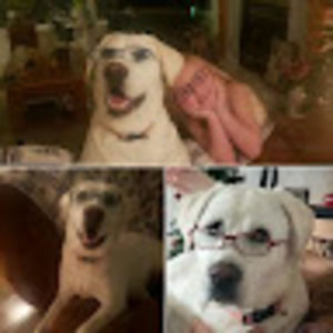 Meet your Posher, Sage